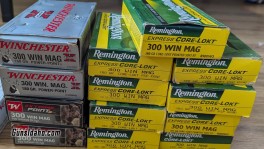 .300 win mag casings