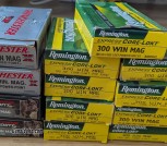 .300 Win Mag casings
